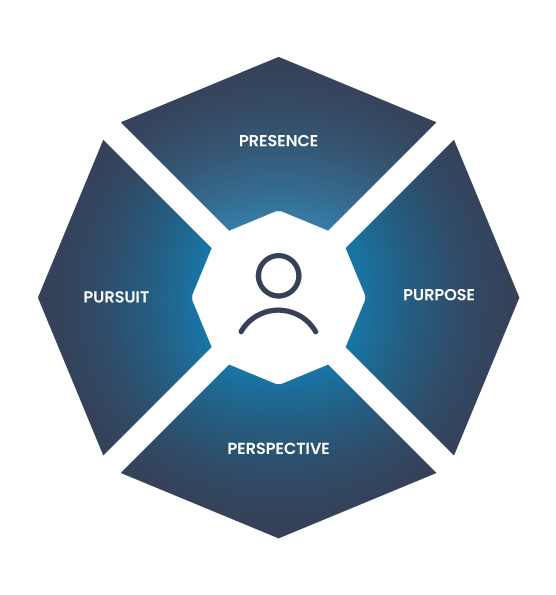 Drivers framework model